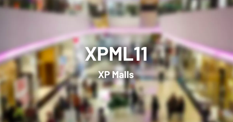 xpml11 - guia completo